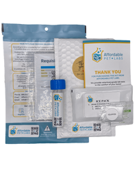 Easy Home Kit: Affordable Pet Labs Combo Complete Urinalysis & Fecal Test For Cats