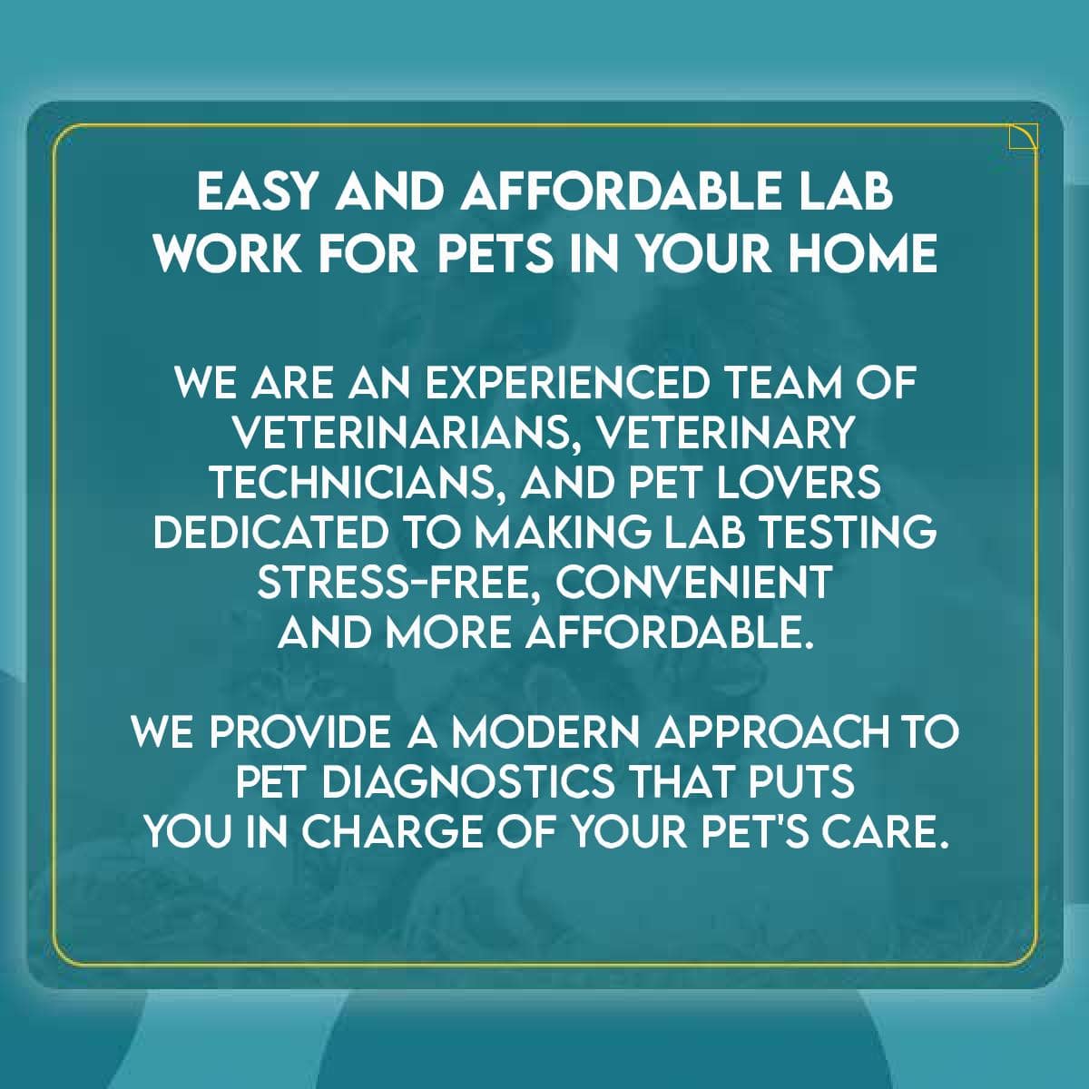 Easy Home Kit Affordable Pet Labs Total Fecal Tests Plus Giardia For Cats