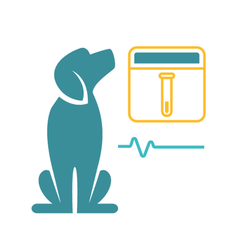 Home-Visit: Affordable Pet Labs Rabies Vaccine Titer Diagnostic Test For Dogs