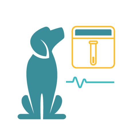 Dog In-Home Parvo Vaccine Titer Test