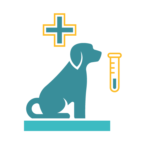 basic health assessment - dog