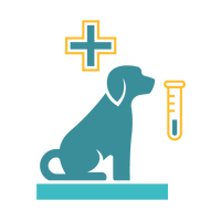 basic health assessment - dog