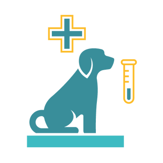 basic health assessment - dog