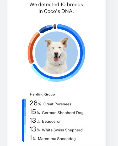Test top dog dna