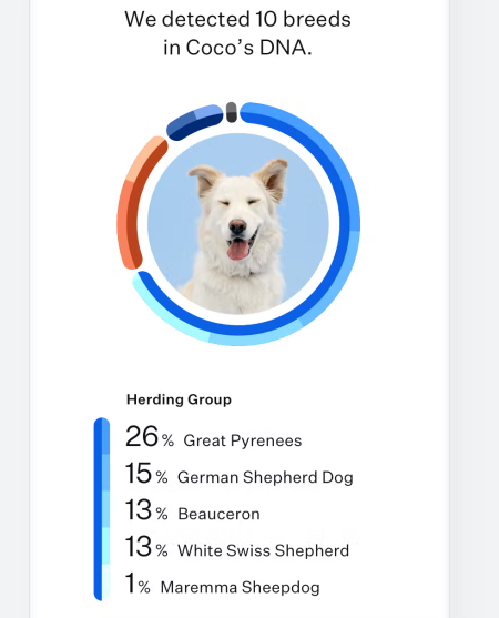 Wisdom Panel Genetic Test Essentials For Dogs