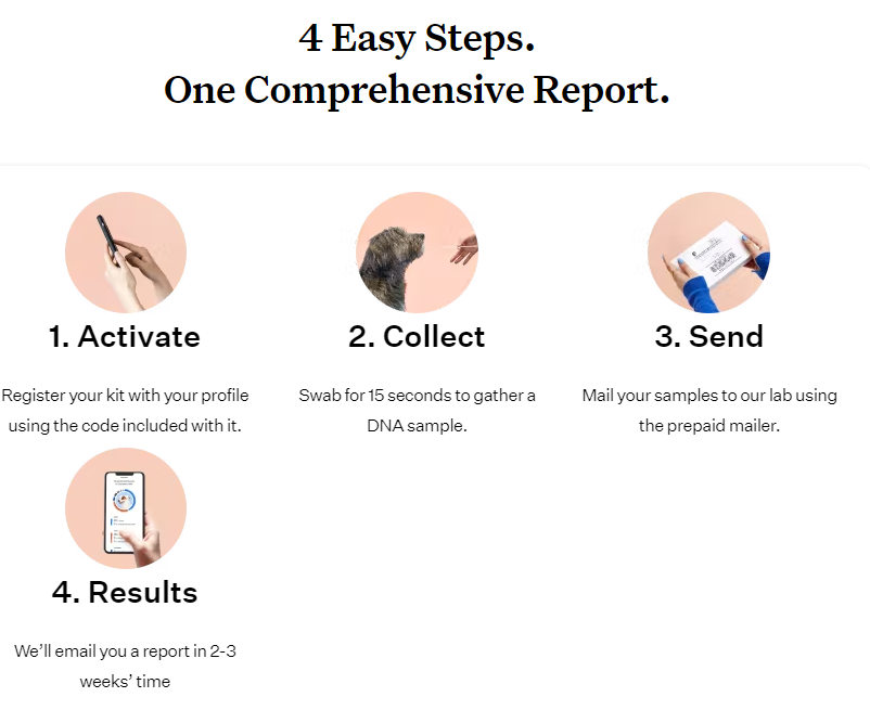 Wisdom panel sales dog dna coupon