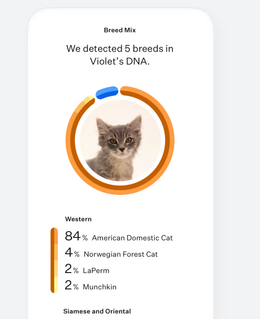 Wisdom Genetic Panel™ Complete for Cats