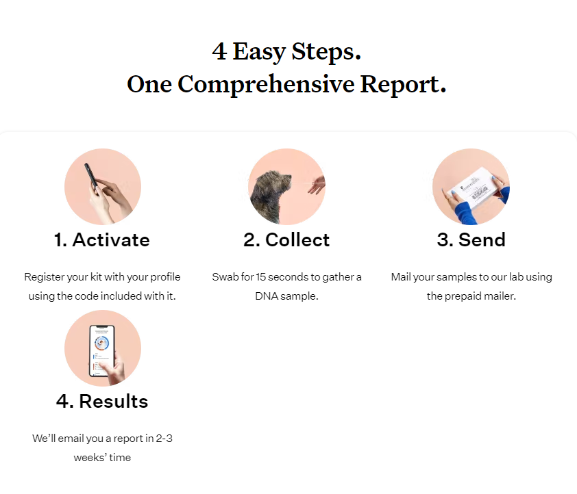 Wisdom panel sign in hot sale