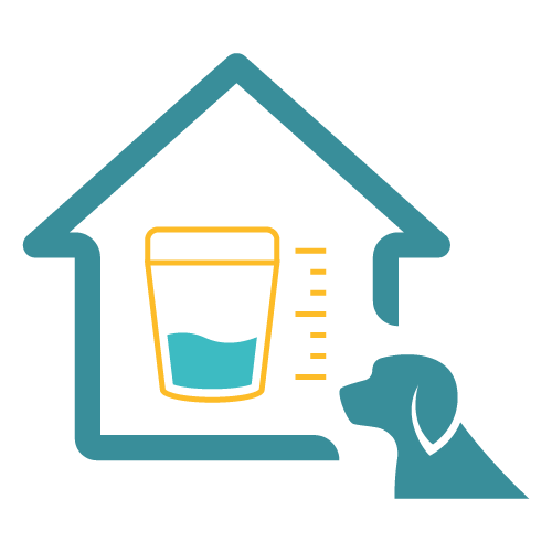 Complete Urinalysis with Microscopic Evaluation For Dogs