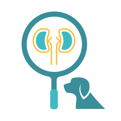 kidney disease tracker - dog