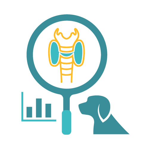 Home-Visit: Affordable Pet Labs Thyroid Disease Diagnostic Test For Dogs