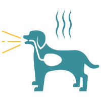 in home dog valley fever tests