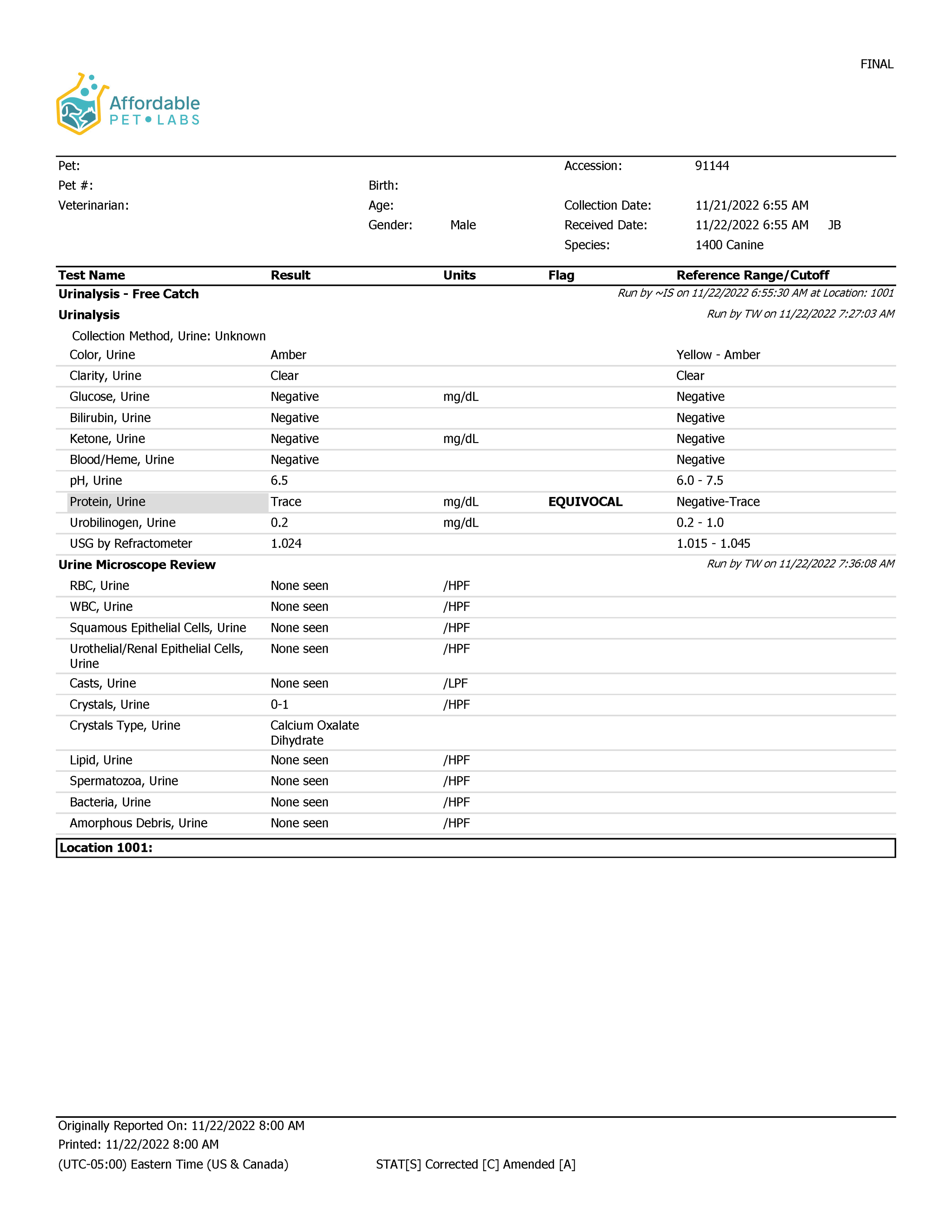 Complete Urinalysis with Microscopic Evaluation For A Cat